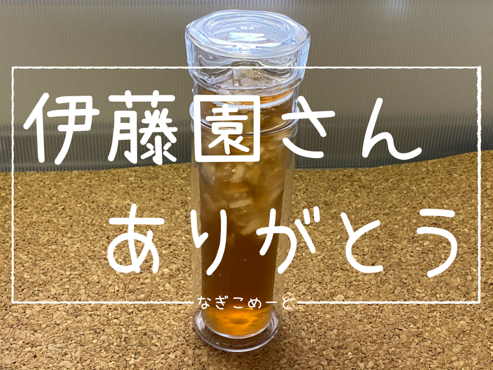 日本未発売 伊藤園 理想のマイボトル